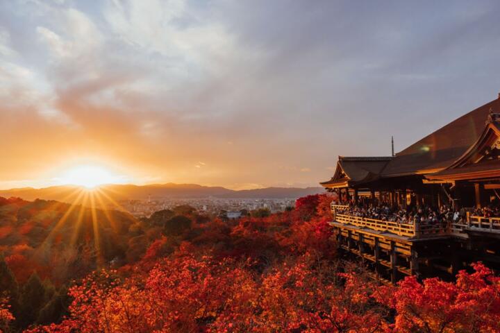 Is Japan Worth It for a First Big Trip?